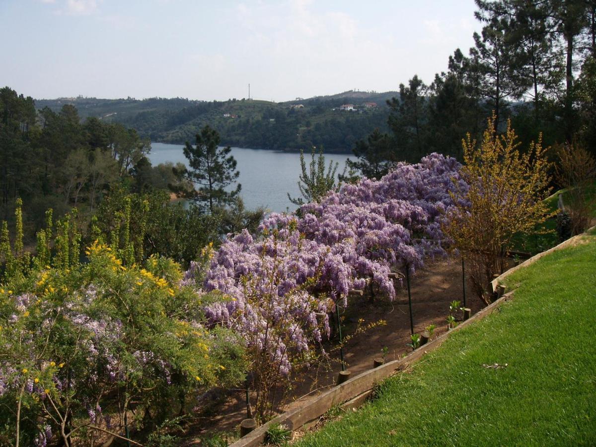 Quinta Do Troviscal Villa Castelo do Bode Ngoại thất bức ảnh