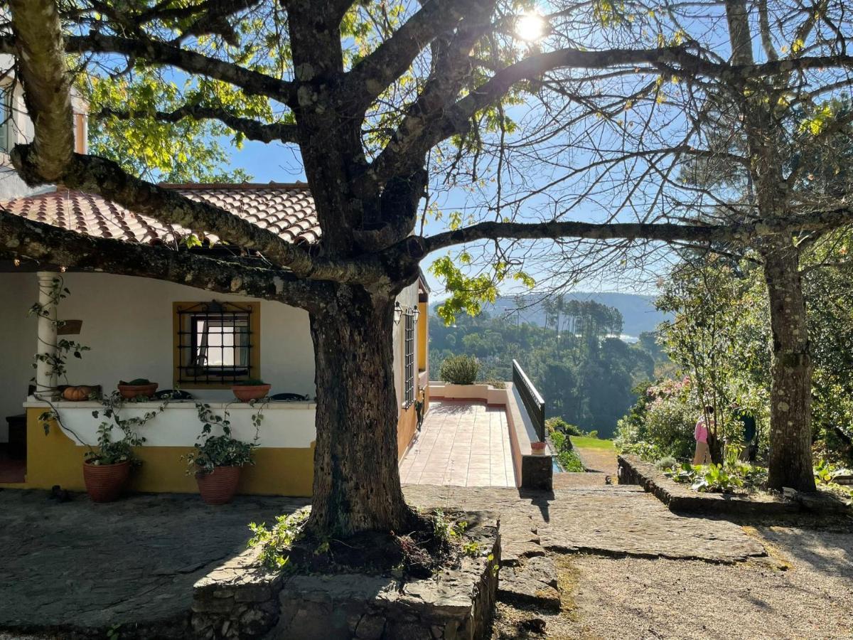 Quinta Do Troviscal Villa Castelo do Bode Ngoại thất bức ảnh