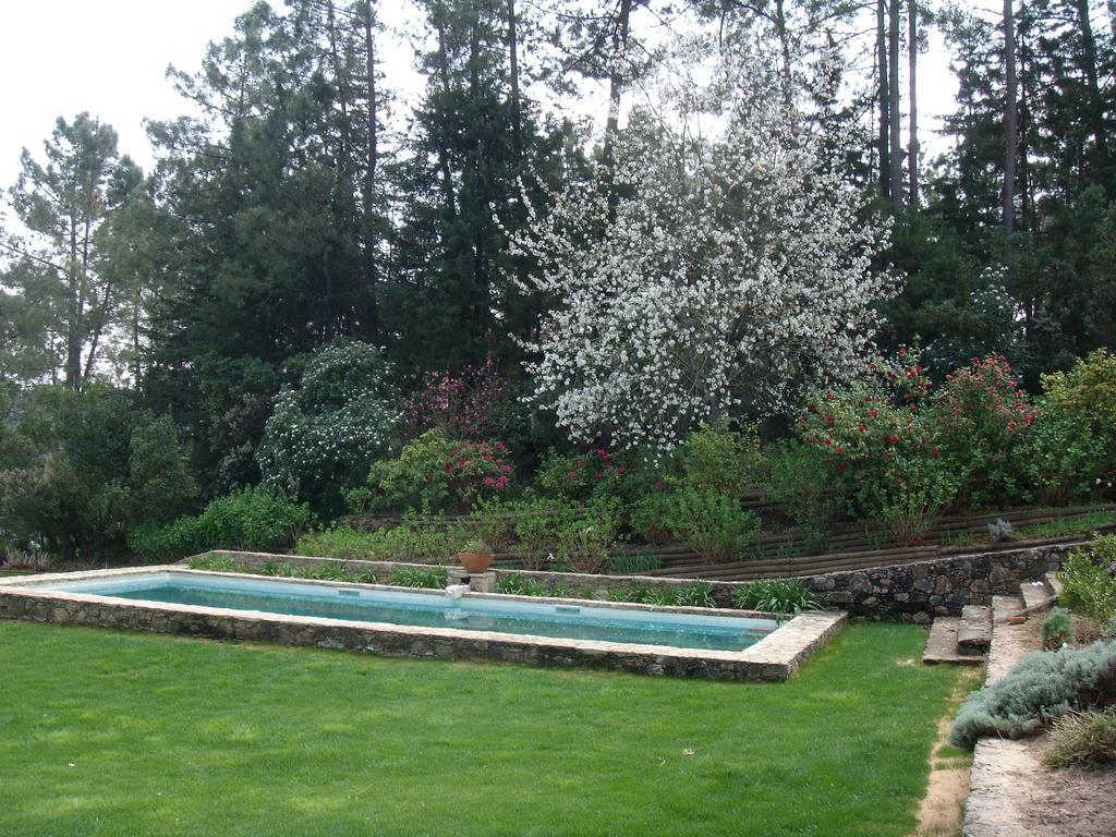 Quinta Do Troviscal Villa Castelo do Bode Ngoại thất bức ảnh