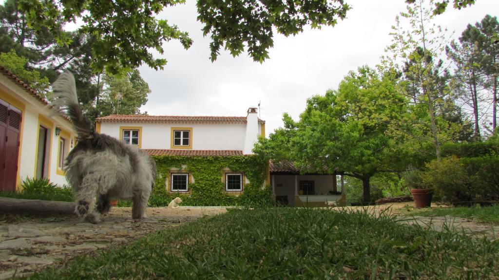 Quinta Do Troviscal Villa Castelo do Bode Ngoại thất bức ảnh