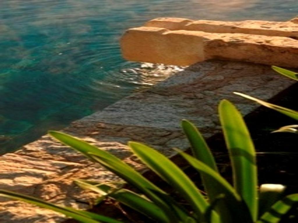 Quinta Do Troviscal Villa Castelo do Bode Ngoại thất bức ảnh