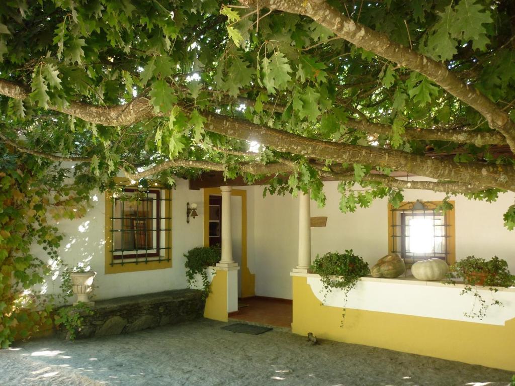 Quinta Do Troviscal Villa Castelo do Bode Ngoại thất bức ảnh