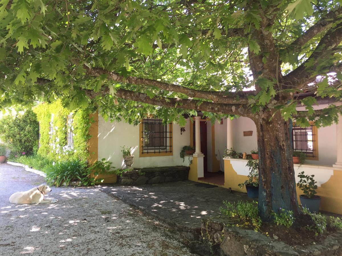 Quinta Do Troviscal Villa Castelo do Bode Ngoại thất bức ảnh