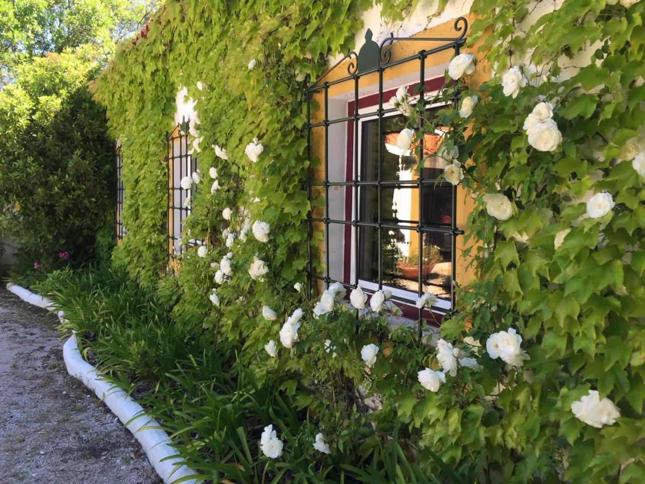 Quinta Do Troviscal Villa Castelo do Bode Ngoại thất bức ảnh